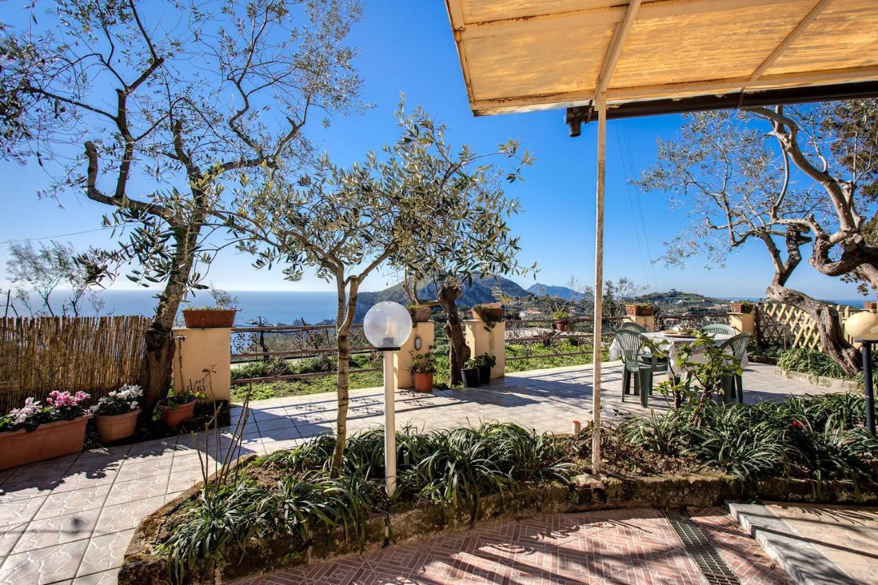 Il Pioppo - Country House Sea View Massa Lubrense Exterior photo